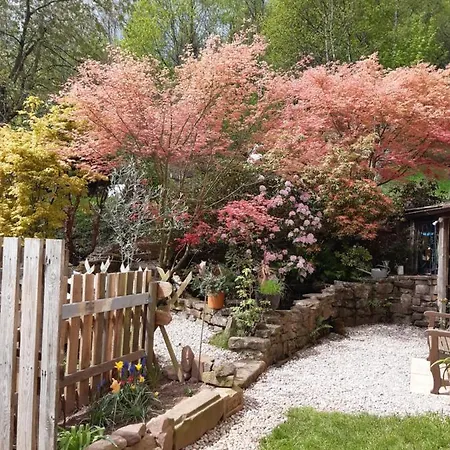 Apartman A Ban De Sapt Ban-de-Sapt