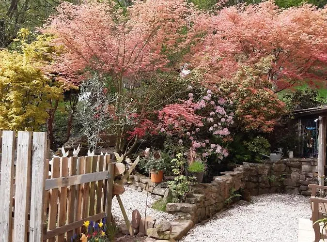 Appartement A Ban De Sapt Ban-de-Sapt