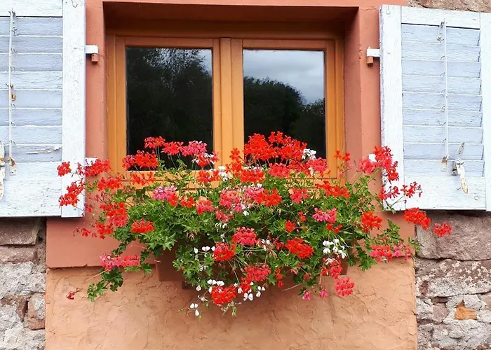 Appartement A Ban De Sapt Ban-de-Sapt